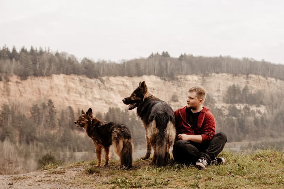 Luka petsitter et sa tribu