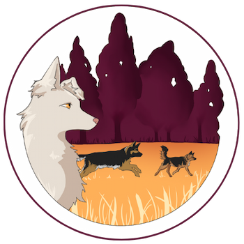 Logo La tribu de Luka