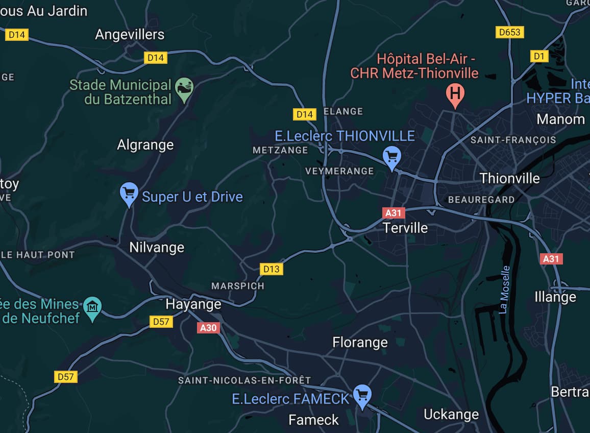 promeneur de chiens hayange thionville